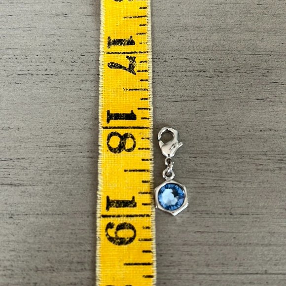 ✨NIB Touchstone Crystal Charm - Picture 2 of 5